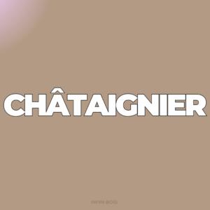 Chataignier