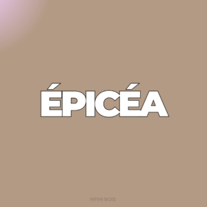 Épicéa